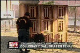 INPE incautó más de 600 gallos de pelea en penal San Pedro