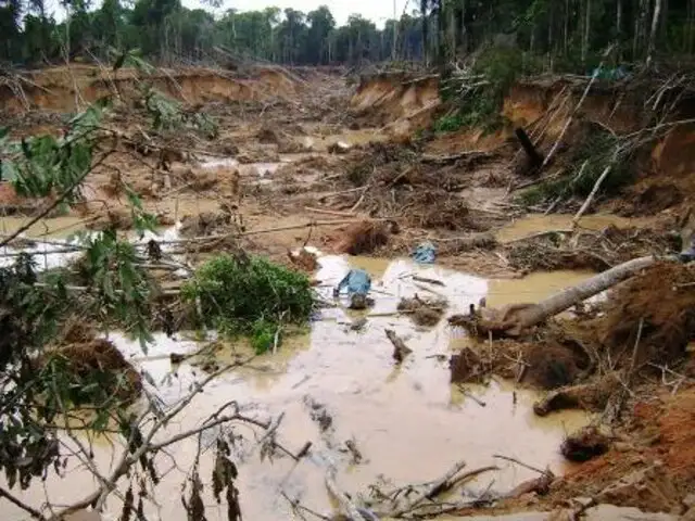Paraguay: empresa destruye bosque habitado por indígenas aislados
