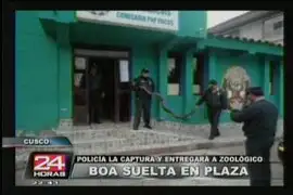 Cusco: policía atrapa una boa de cuatro metros en centro de la ciudad 