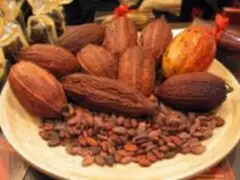Cacao peruano:Orgullo de la Nación
