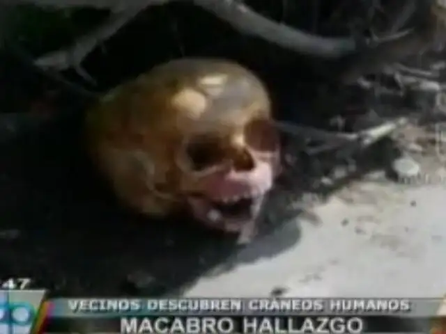 Vecinos de Surco encuentran dos cráneos humanos en plena calle