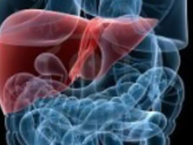 Sobreproducción de la hormona del crecimiento provocaría cáncer de hígado 