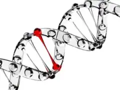 Selección genética salva a niño español de la  adrenoleucodistrofia