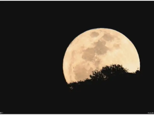Esta medianoche veremos la “Superluna”