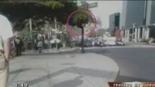 Foto denuncia: árboles cubren semáforos en las principales avenidas de San Isidro