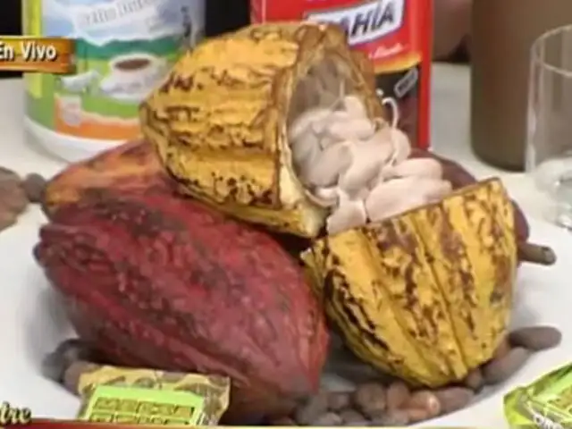 Perú posee la mayor diversidad genética de cacao en el mundo