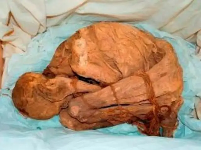 Momia de 600 años de antigüedad fue devuelta por Alemania