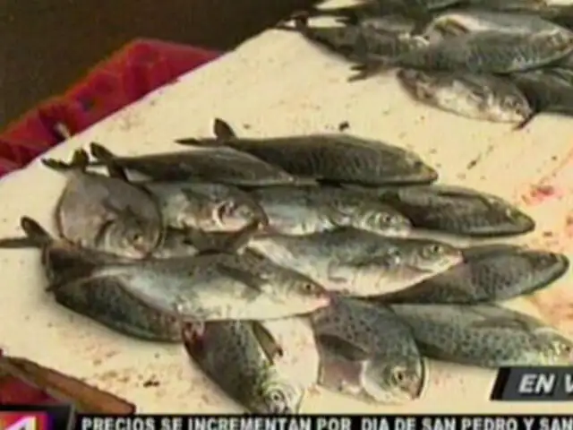 Indican ligero aumento en la pesca en Día de San Pedro y San Pablo
