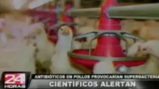 Antibióticos inyectados a los pollos afectan seriamente el cuerpo humano