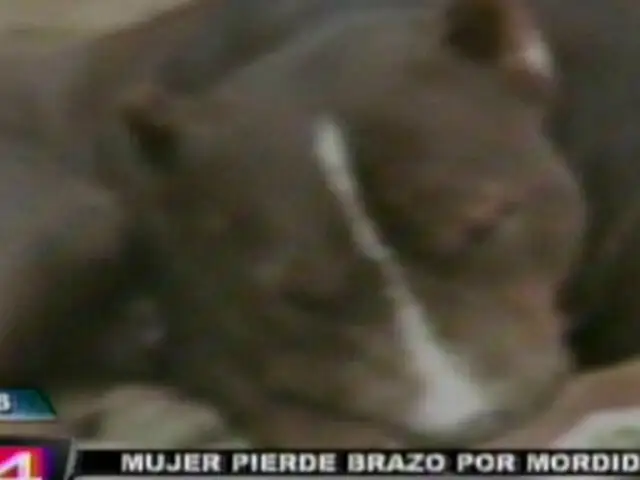 Perro pitbull ataca salvajemente a mujer y su nieto