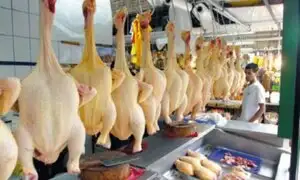 Callao: en dos horas se acaban cuatro toneladas de pollo durante feria