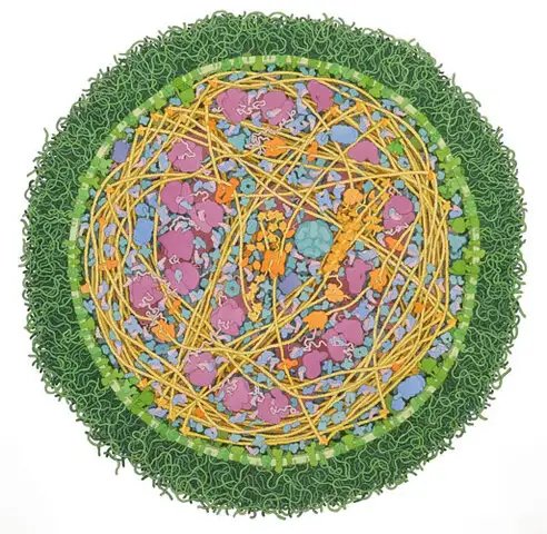 Biología hecha arte: células, bacterias, sangre y ADN, al acuarela