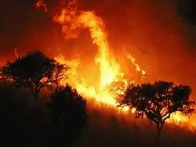 Chile: peruano muere en incendio registrado en la ciudad de Iquique