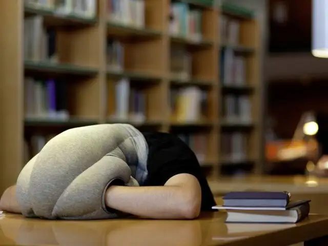 La almohada de avestruz que te permite tomar siestas en cualquier lugar