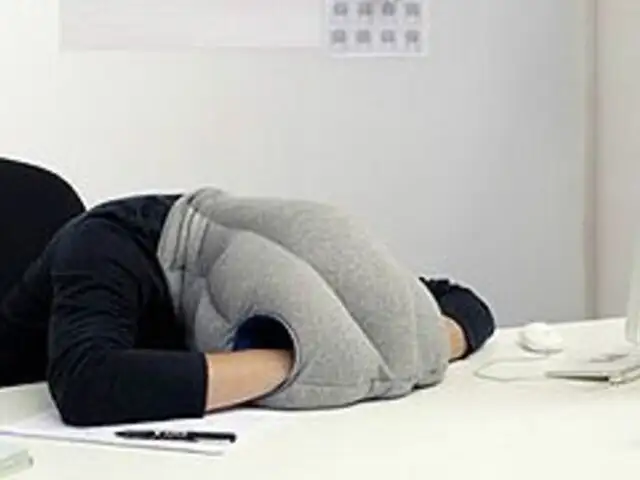 Insólito: Diseñan almohada para tomar siesta en cualquier lugar y hora