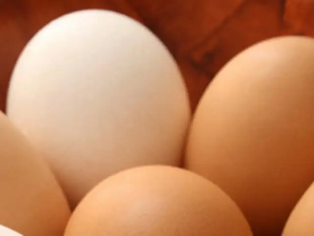 Día Mundial del Huevo: Mitos y verdades sobre su consumo