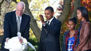 EEUU: Barack Obama indulta pavos por Día de Acción de Gracias