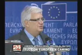 Comisión de Eurocámara aprueba el TLC con Europa
