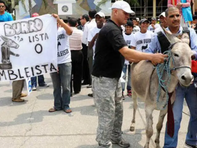 Ecuador: autoridades rechazan inscribir a un burro como candidato