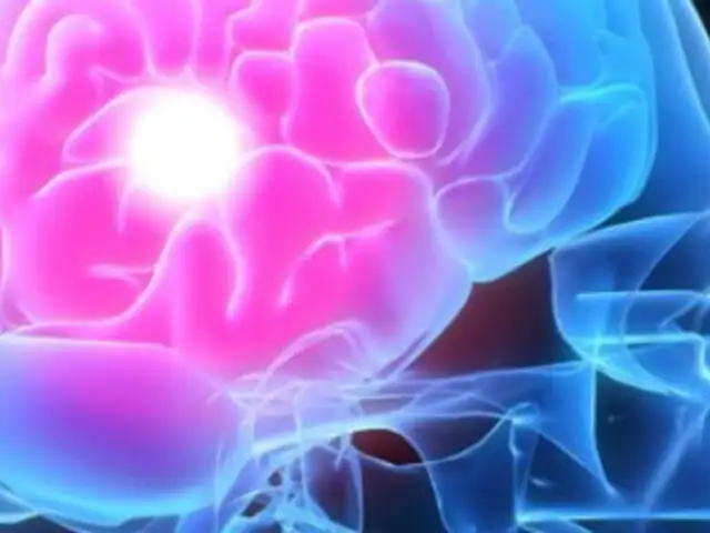 Leer la mente será posible a través de dispositivos de Neurocontrol