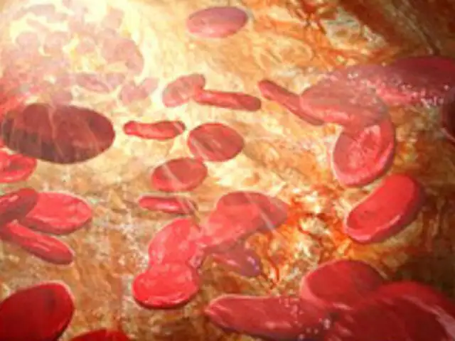 Científicos crean células madre a partir de la sangre del paciente