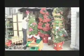 Ecoxmas tree: opción ecológica para decorar la navidad