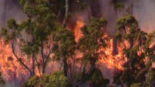 Alerta en Australia por incendios forestales y ciclón ‘Narelle’