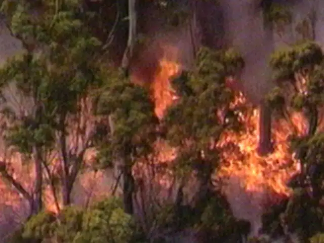 Alerta en Australia por incendios forestales y ciclón ‘Narelle’