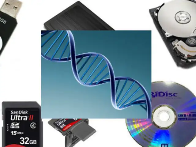 ¿Te imaginas guardar todos tus archivos en moléculas de ADN?