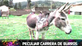 'Carrera de burros' alegra las calles en las alturas de Huancavelica