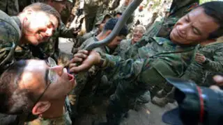 Tailandia: soldados beben sangre de cobra en ejercicios de supervivencia