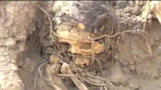 Noticias de las 7: descubren 11 tumbas preincas en la Videna