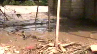 Tingo María: viviendas son destruidas por desborde de ríos Huallaga y Monzón