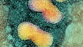 China: dos personas mueren por gripe desconocida en humanos