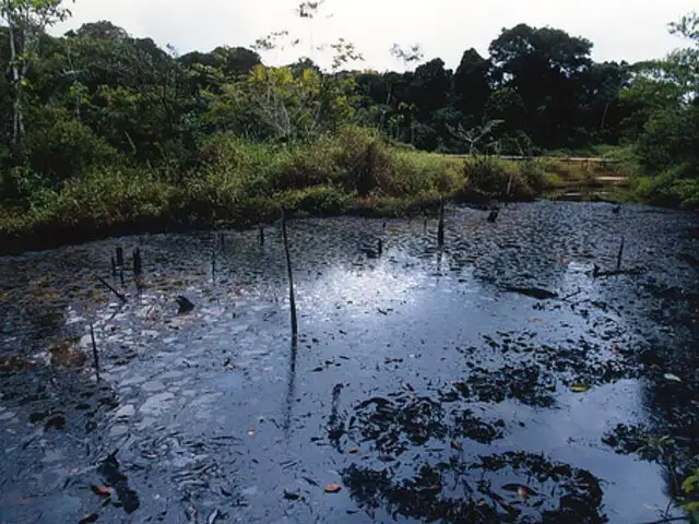 Amazonía herida: desastre ecológico en el corazón de la selva