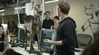 Mark Zuckerberg junto a una cabra en novedoso anuncio de Facebook