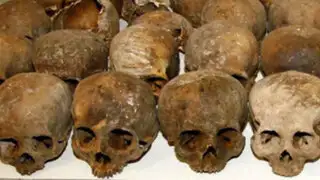 Piura: encuentran cráneos humanos en bodega de bus interprovincial
