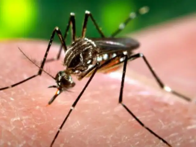 Chikungunya: Ministerio de Salud confirmó quinto y sexto caso importados en Perú