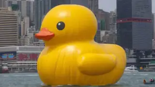 China: pato de hule gigante apareció flotando en puerto de Hong Kong
