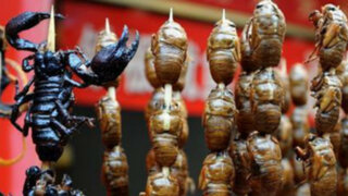 ONU instó a comer insectos para luchar contra la desnutrición en el mundo