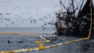 Empresa pesquera exige cumplimiento de sentencia a Ministerio de la Producción