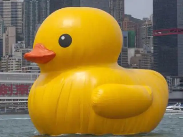 China: pato de hule gigante apareció flotando en puerto de Hong Kong