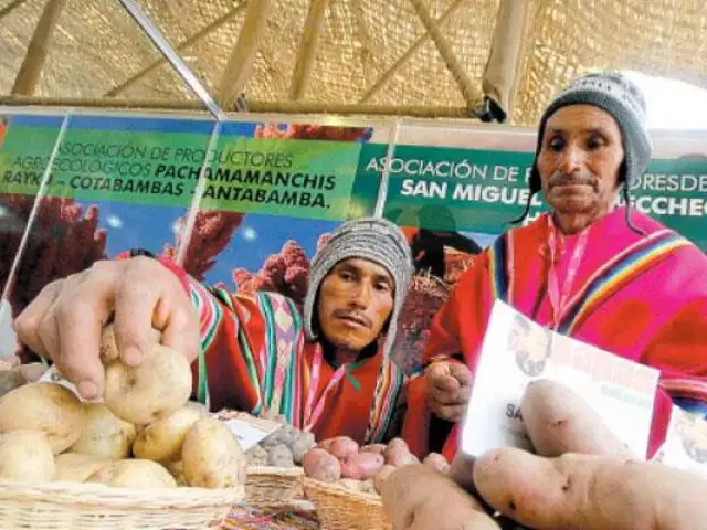 APEGA organizará la primera Feria Agropecuaria de Mistura en Magdalena