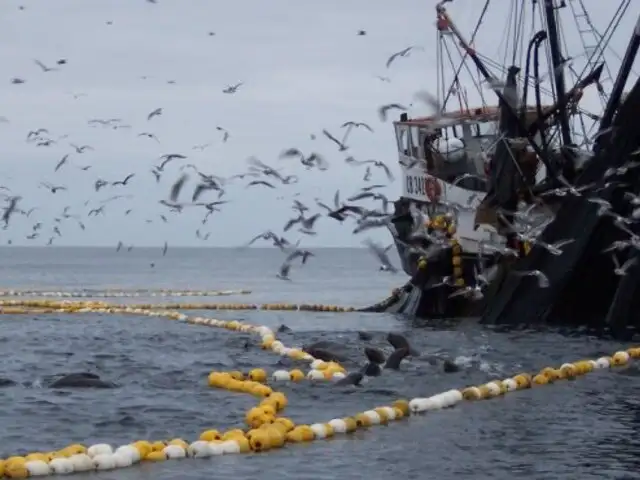 Empresa pesquera exige cumplimiento de sentencia a Ministerio de la Producción