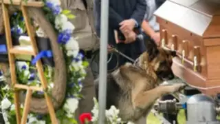 Perro policía conmovió a miles al llorar en entierro de su amo asesinado