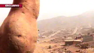 Un cerro llamado Camote: ganándole terreno al olvido en Lima