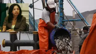 Polémico decreto sobre la anchoveta beneficiaría al mercado chileno