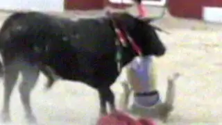Cajamarca: toro embiste a matador y lancero en otra violenta jornada