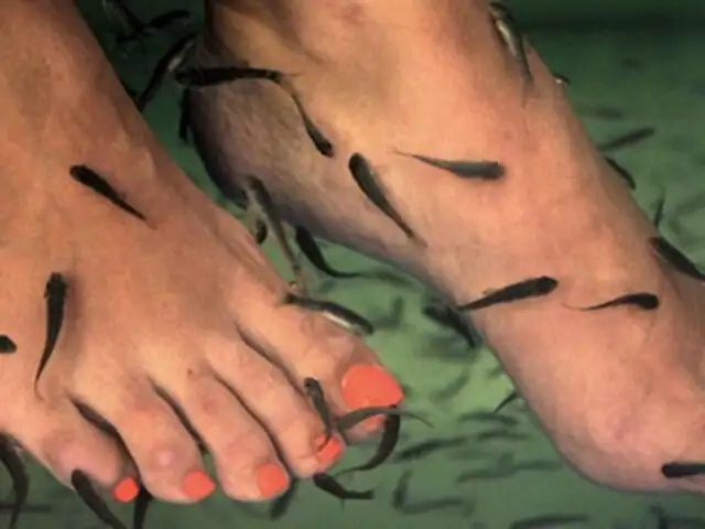 ‘Toque X’ ofrece novedoso tratamiento para los pies con peces