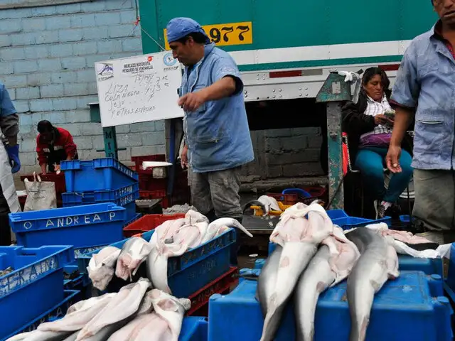 Denuncian que altos precios obligan a importar pescado de países vecinos